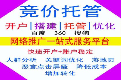 SEM代运营机构案例：关键词优化与广告投放
